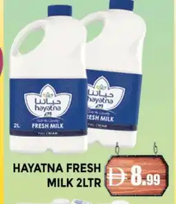 Al Madina HAYATNA Fresh Milk offer