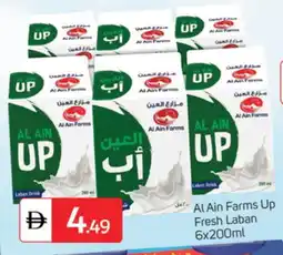 Talal Market AL AIN Laban offer