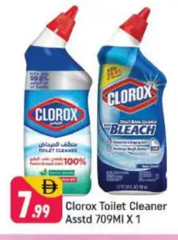 Shaklan CLOROX Toilet / Drain Cleaner offer