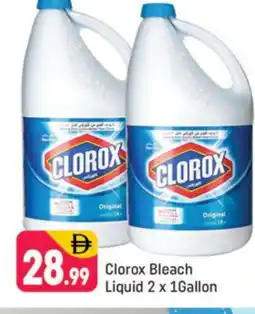 Shaklan CLOROX Bleach offer