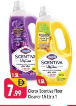Shaklan CLOROX General Cleaner offer