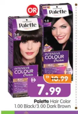 Al Madina Hypermarket PALETTE Hair Colour offer