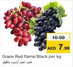 Nesto Grape Red Flame / Black offer