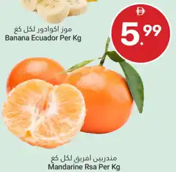 Grand Emirates Market Mandarine Rsa offer