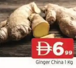Abraj Al Madina Ginger China offer
