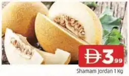 Abraj Al Madina Shamam Jordan offer