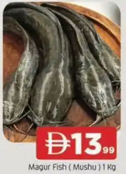 Abraj Al Madina Magur Fish Mushu offer