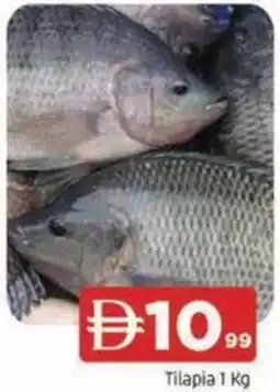 Abraj Al Madina Tilapia offer