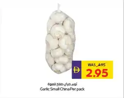E City Garlic Small China offer