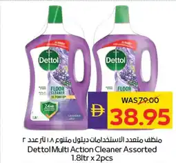 E City Dettol Multi Action Cleaner Assorted offer