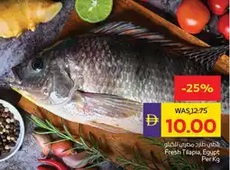 E City Fresh Tilapia offer