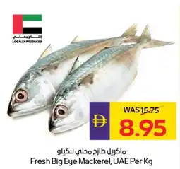 E City Fresh Big Eye Mackerel offer
