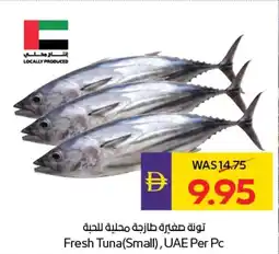 E City Fresh Tuna Small offer
