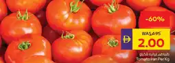 E City Tomato offer