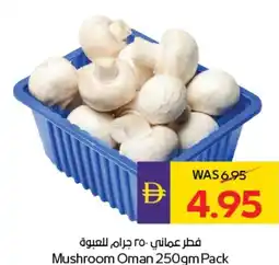 E City Mushroom Oman offer