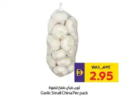 E City Garlic Small offer
