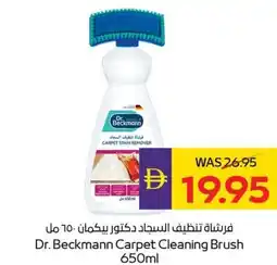 E City Dr. Beckmann Carpet Cleaning Brush offer