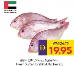 E City Fresh Sultan Ibrahim offer