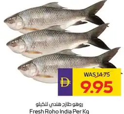 E City Fresh Roho offer