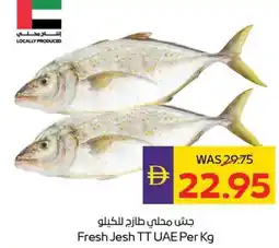 E City Fresh Jesh TT offer