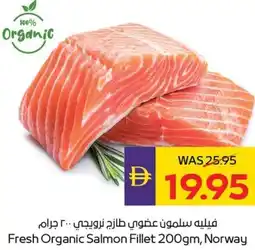 E City Fresh Organic Salmon Fillet offer