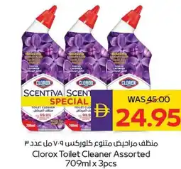 E City Clorox Toilet Cleaner Assorted offer