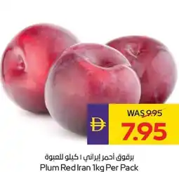 E City Plum Red offer