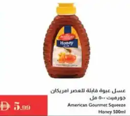 Istanbul Supermarket American Gourmet Squeeze Honey offer