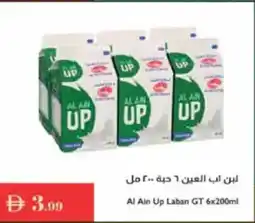 Istanbul Supermarket Al Ain Up Laban GT offer