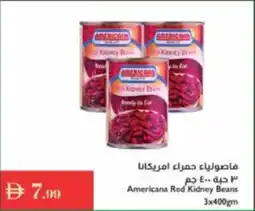 Istanbul Supermarket Americana Red Kidney Beans offer