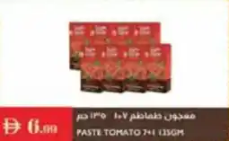 Istanbul Supermarket Paste tomato offer