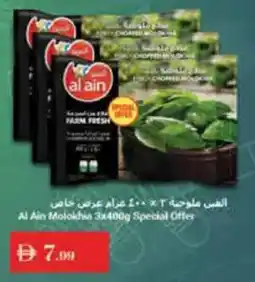 Istanbul Supermarket Al Ain Molokhin offer