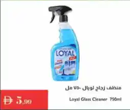 Istanbul Supermarket Loyal Glass Cleaner offer