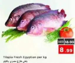 Nesto Tilapia Fresh Egyptian offer