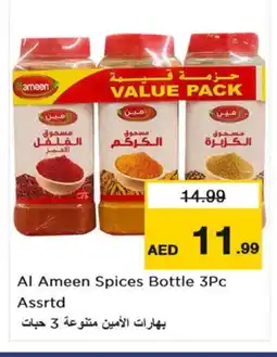 Nesto AL AMEEN Spices / Masala offer