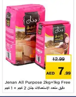 Nesto JENAN All Purpose Flour offer