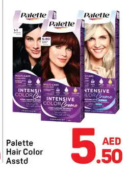 Day To Day PALETTE Hair Colour offer