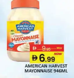 Mango Hypermarket LLC AMERICAN HARVEST Mayonnaise offer