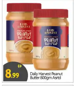 Bigmart DAILY FRESH Peanut Butter offer