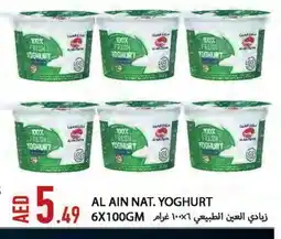 Rawabi Market AL AIN Yoghurt offer