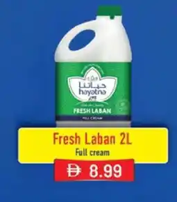 Nesto HAYATNA Laban offer