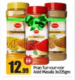 Bigmart PRAN Spices / Masala offer