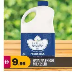 Bigmart HAYATNA Fresh Milk offer