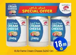 Bigmart AL AIN Cream Cheese offer