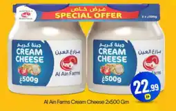 Bigmart AL AIN Cream Cheese offer