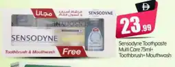 Bigmart SENSODYNE Toothpaste offer