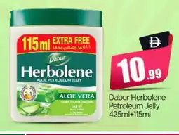 Bigmart DABUR Petroleum Jelly offer