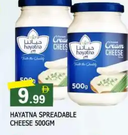 Al Madina HAYATNA Cream Cheese offer