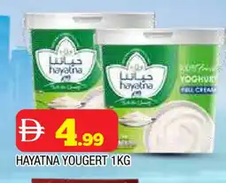 Al Madina HAYATNA Yoghurt offer
