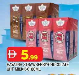 Al Madina HAYATNA Flavoured Milk offer